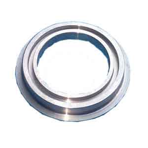 Oil Seal